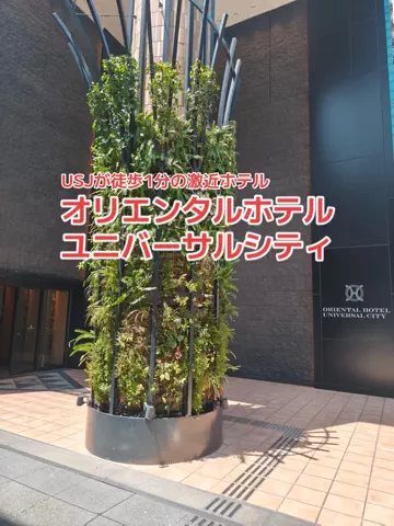 地域猫のTikTok投稿