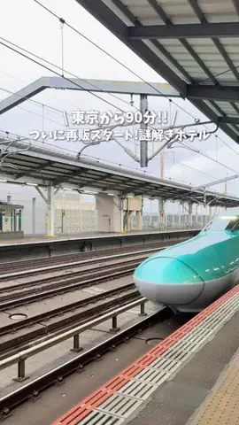 ゆみ | 東京発のお出かけ情報まとめのTikTok投稿
