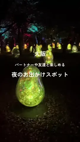 ゆるとらちゃん | TravelerのTikTok投稿