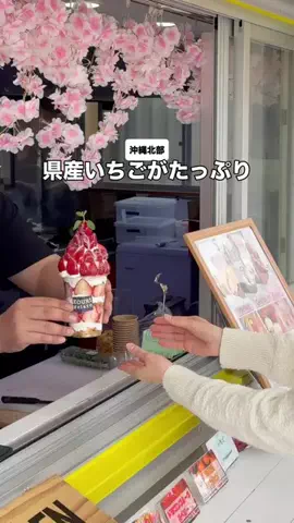 沖縄おすすめ情報のTikTok投稿