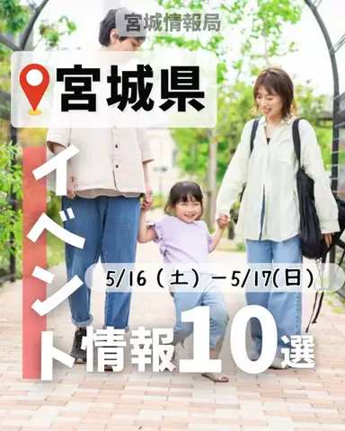 宮城情報局【イベント|トレンド|グルメ】のTikTok投稿