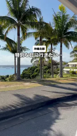 沖縄おすすめ情報のTikTok投稿