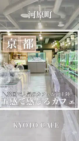 めぐsan🚗💨関西｜大人の旅｜温泉｜グルメのTikTok投稿