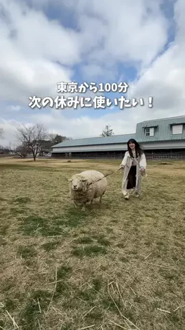ひだまり｜東京発おでかけカップル☀️のTikTok投稿