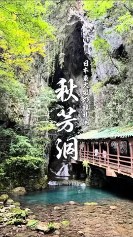 TABISUKI🚗旅情報のTikTok投稿