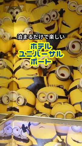 おっきー 🍍沖縄人のTikTok投稿