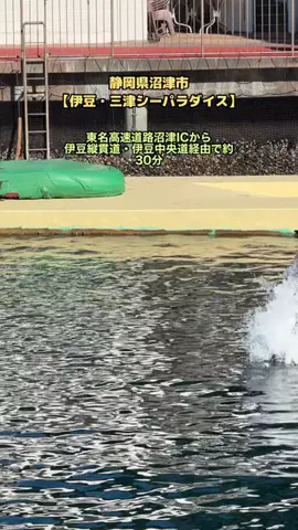 あゆ☆コットンボールランプ専門店のTikTok投稿
