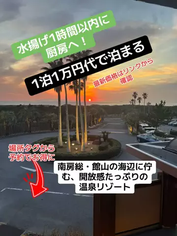 めしけしきのTikTok投稿
