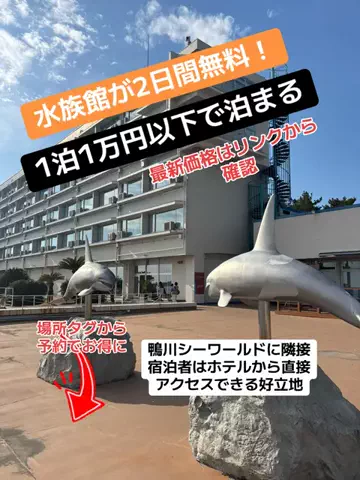 めしけしきのTikTok投稿
