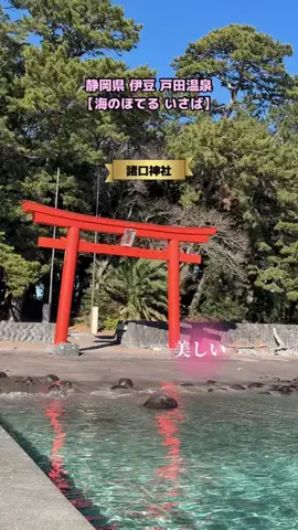 あゆ☆コットンボールランプ専門店のTikTok投稿
