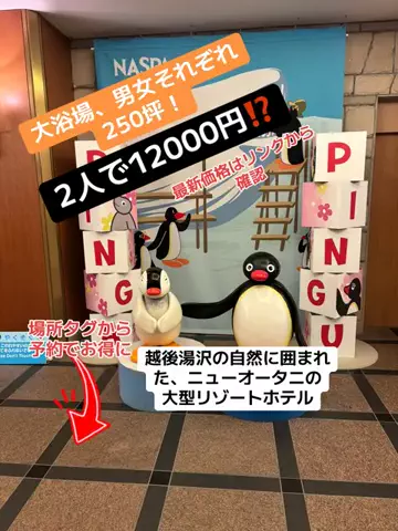 めしけしきのTikTok投稿