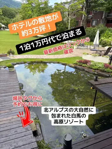 めしけしきのTikTok投稿
