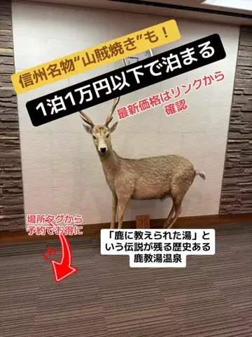 めしけしきのTikTok投稿