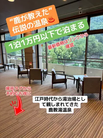 めしけしきのTikTok投稿