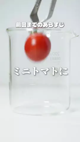 はせ｜アラサーランナーの整い飯🌾のTikTok投稿