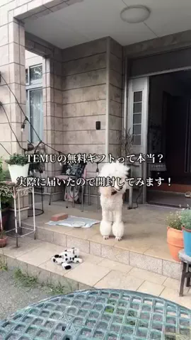 00peetoko00のTikTok投稿