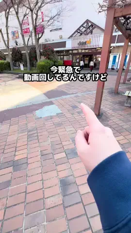 のーまる⚪️ただの20代クレーンゲーマーのTikTok投稿
