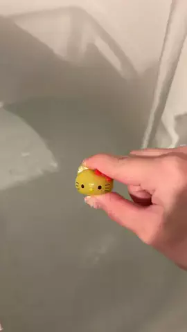 はなおじのTikTok投稿