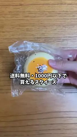 さすらい猫　にゃんきちのTikTok投稿