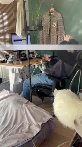 manusに全部やらせてみたのTikTok投稿