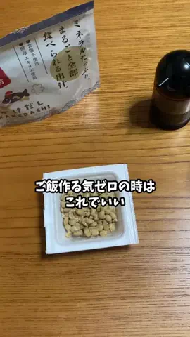さすらい猫　にゃんきちのTikTok投稿