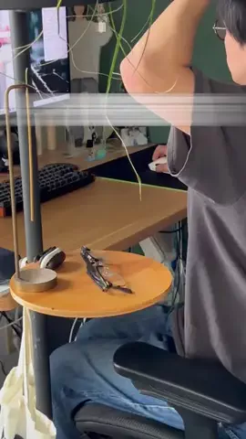 manusに全部やらせてみたのTikTok投稿