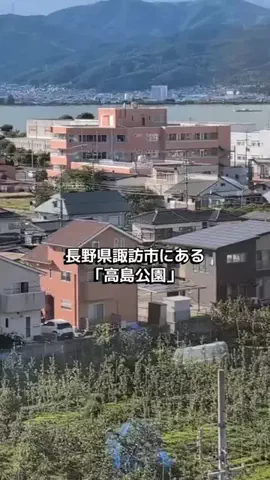のぶ(スーパー旅行系クリエイター)のTikTok投稿