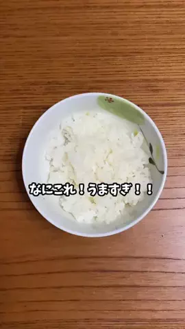 さすらい猫　にゃんきちのTikTok投稿