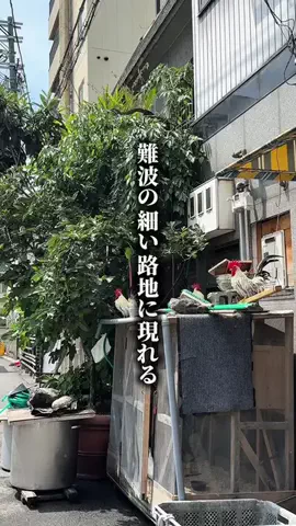 まだ考え中... 大阪 関西グルメのTikTok投稿