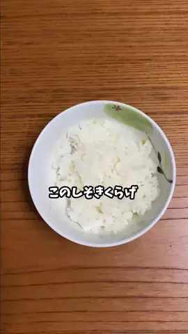 さすらい猫　にゃんきちのTikTok投稿