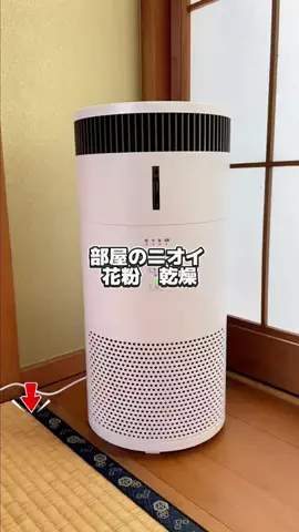 まーりーのTikTok投稿