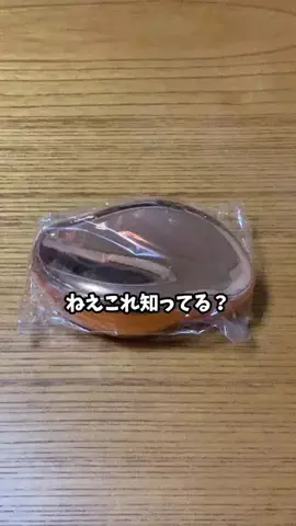 さすらい猫　にゃんきちのTikTok投稿