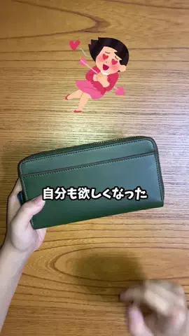 さすらい猫　にゃんきちのTikTok投稿
