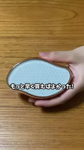 さすらい猫　にゃんきちのTikTok投稿