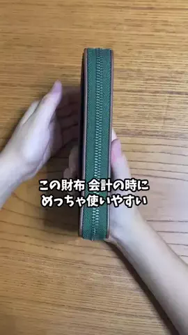 さすらい猫　にゃんきちのTikTok投稿