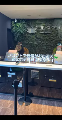 のぶ(スーパー旅行系クリエイター)のTikTok投稿