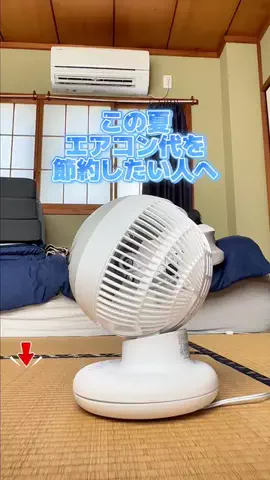 まーりーのTikTok投稿