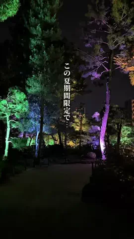 らんちさん【広島グルメ】のTikTok投稿