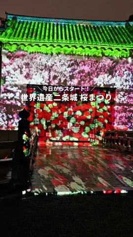 るる | 大阪発おでけけのTikTok投稿