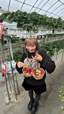 るる | 大阪発おでけけのTikTok投稿