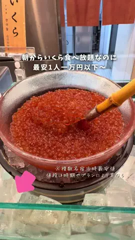 しおり｜女子向けおでかけ・旅行情報🎀のTikTok投稿