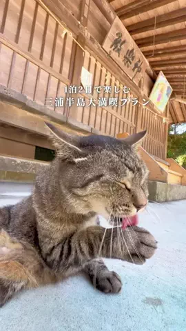 しおり｜女子向けおでかけ・旅行情報🎀のTikTok投稿