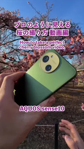 だーかい📸のTikTok投稿