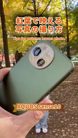 だーかい📸のTikTok投稿