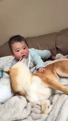 おとまる👶🏻🐶のTikTok投稿