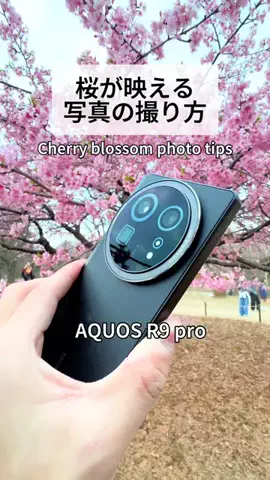 だーかい📸のTikTok投稿