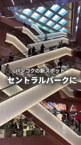 ぷくこ🇹🇭タイのTikTok投稿