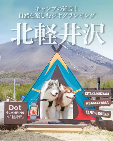 シベリアンハスキーのアポロとコスモのTikTok投稿
