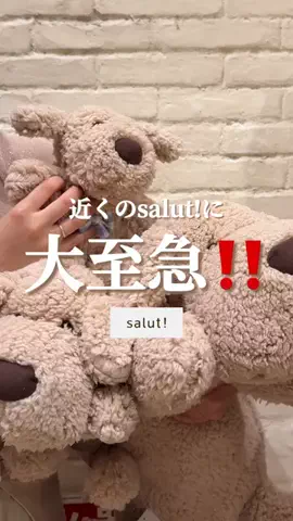 はるの𓊆 好きを見逃さない新作雑貨速報 𓊇のTikTok投稿