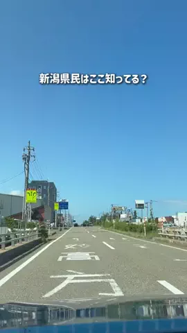 新潟グルメ/NIIGTA SELECTのTikTok投稿
